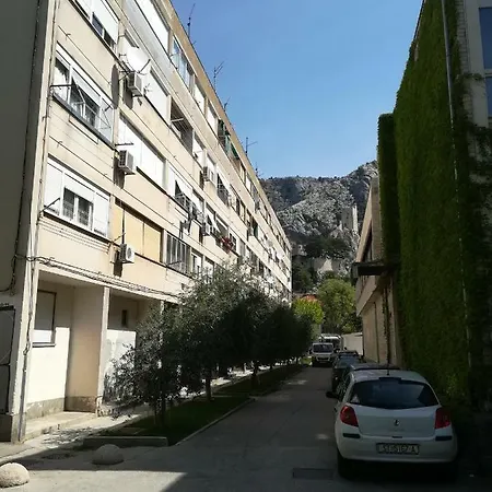 Anja Omiš